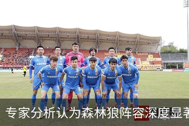 专家分析认为森林狼阵容深度显著提升