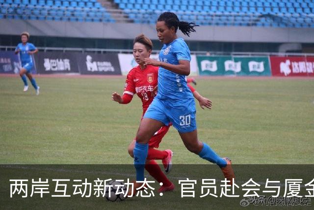 两岸互动新动态：官员赴会与厦金大桥建设