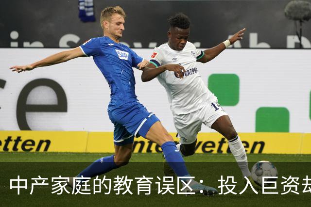 中产家庭的教育误区：投入巨资却未必有效