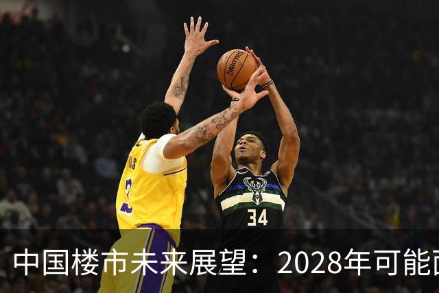 中国楼市未来展望：2028年可能面临的短缺危机