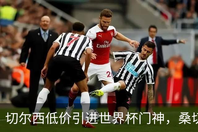 切尔西低价引进世界杯门神，桑切斯主力地位受威胁