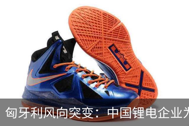 匈牙利风向突变：中国锂电企业为何接连受挫