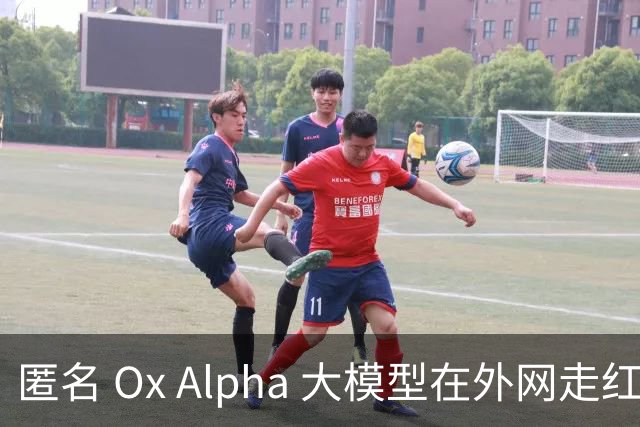 匿名 Ox Alpha 大模型在外网走红