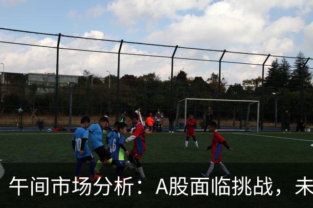 午间市场分析：A股面临挑战，未来走势需谨慎