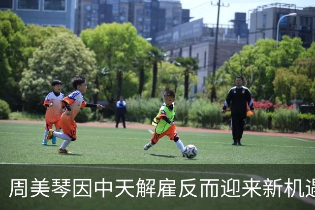 周美琴因中天解雇反而迎来新机遇