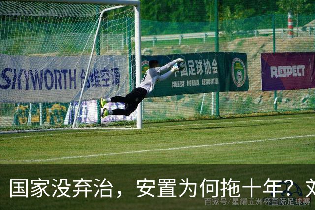 国家没弃治，安置为何拖十年？刘翔只想要个交代