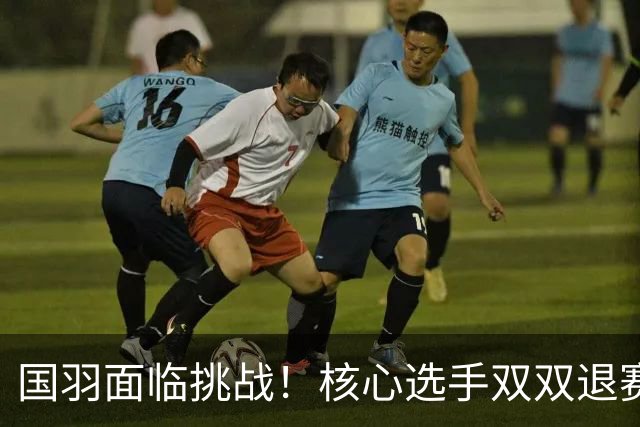 国羽面临挑战！核心选手双双退赛引发担忧