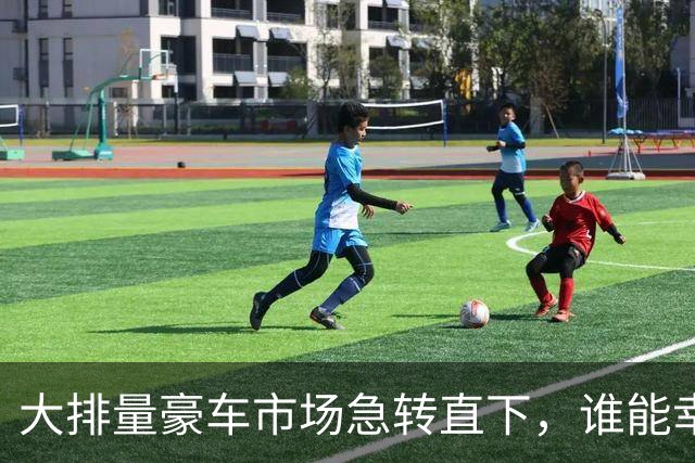 大排量豪车市场急转直下，谁能幸免？
