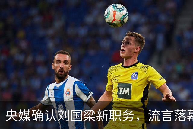 央媒确认刘国梁新职务，流言落幕乒乓继续繁荣