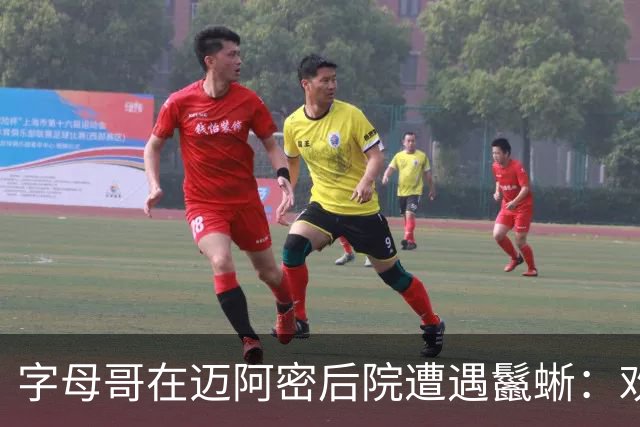 字母哥在迈阿密后院遭遇鬣蜥：欢迎来到新家