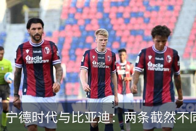 宁德时代与比亚迪：两条截然不同的电池路径