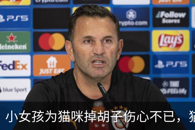 小女孩为猫咪掉胡子伤心不已，猫咪却一脸无辜