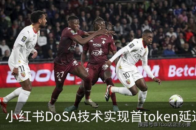 小红书DoSA技术实现首token延迟显著缩减
