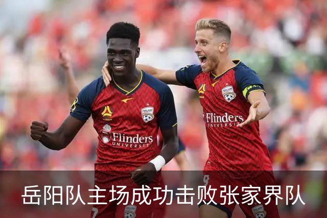 岳阳队主场成功击败张家界队