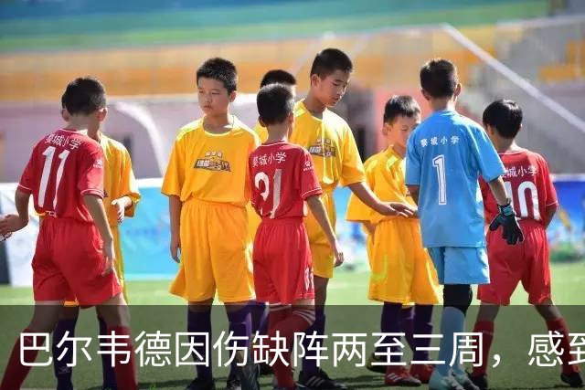 巴尔韦德因伤缺阵两至三周，感到后悔未及时倒地