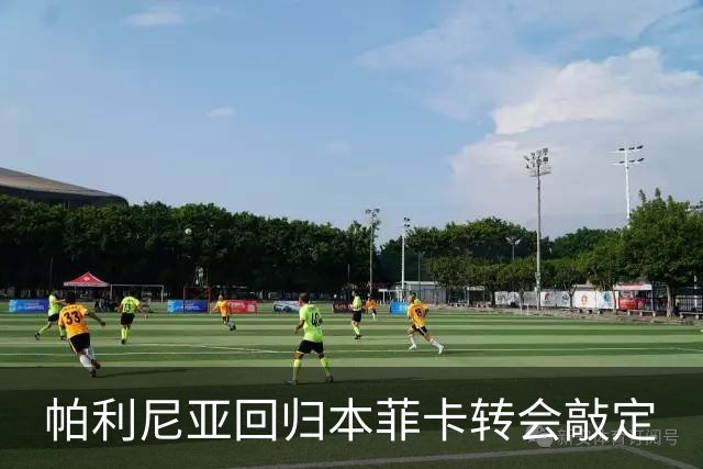 帕利尼亚回归本菲卡转会敲定