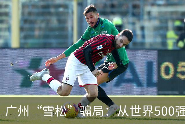 广州“雪松”骗局：从世界500强到千亿坍塌