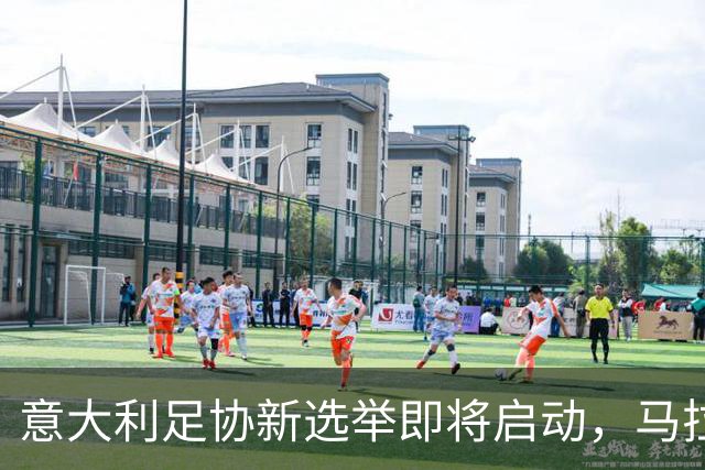 意大利足协新选举即将启动，马拉戈或竞选连任