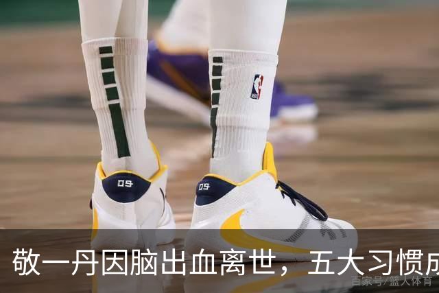 敬一丹因脑出血离世，五大习惯成风险因素