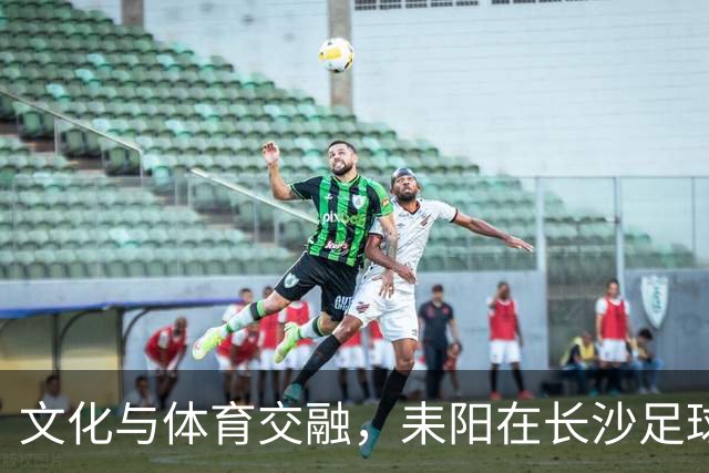 文化与体育交融，耒阳在长沙足球赛上璀璨绽放