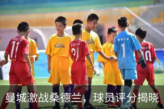 曼城激战桑德兰，球员评分揭晓