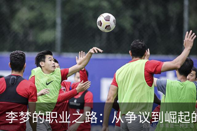 李梦的职业之路：从争议到崛起的十年