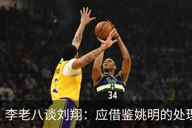李老八谈刘翔：应借鉴姚明的处理方式