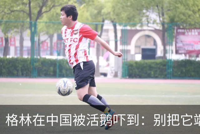 格林在中国被活鹅吓到：别把它端我面前