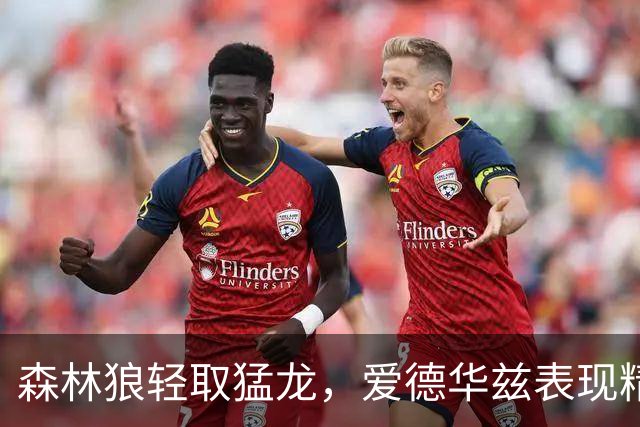 森林狼轻取猛龙，爱德华兹表现精彩