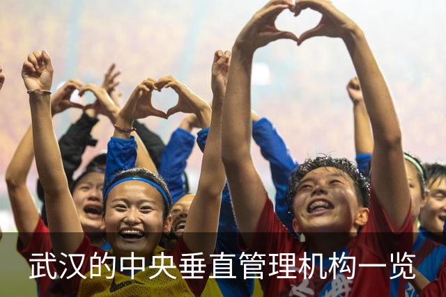 武汉的中央垂直管理机构一览