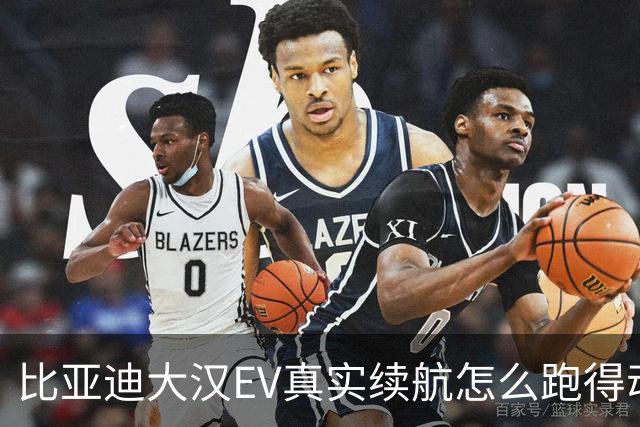比亚迪大汉EV真实续航怎么跑得动？