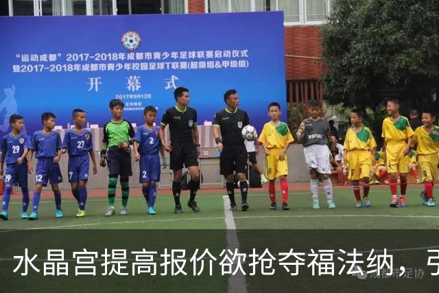 水晶宫提高报价欲抢夺福法纳，引发桑德兰竞争