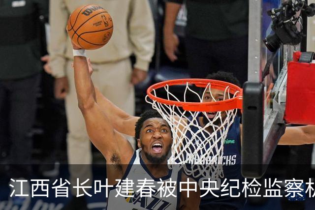 江西省长叶建春被中央纪检监察机构调查