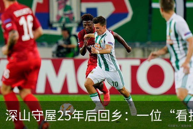 深山守屋25年后回乡：一位“看护者”的归途