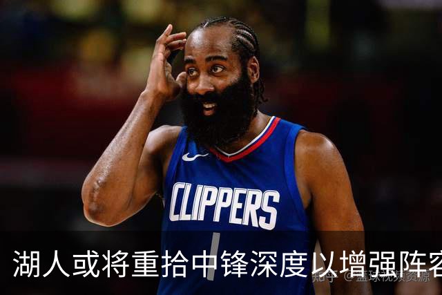 湖人或将重拾中锋深度以增强阵容