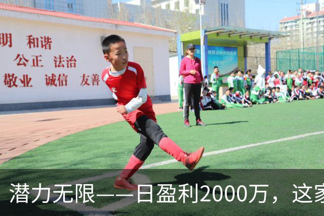 潜力无限——日盈利2000万，这家A股算力领先企业为何备受青睐？