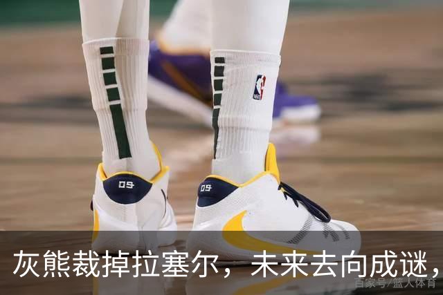 灰熊裁掉拉塞尔，未来去向成谜，或加盟NBA或CBA