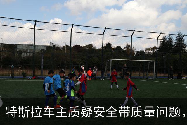 特斯拉车主质疑安全带质量问题，投诉寻求维权