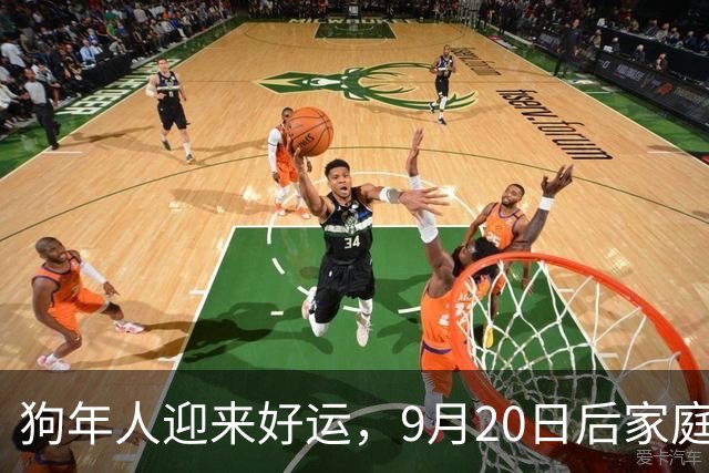 狗年人迎来好运，9月20日后家庭喜事接连来