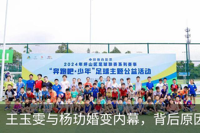 王玉雯与杨玏婚变内幕，背后原因引发热议