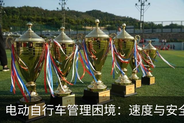 电动自行车管理困境：速度与安全的双重挑战