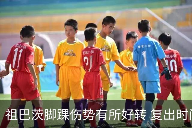 祖巴茨脚踝伤势有所好转 复出时间尚无定论