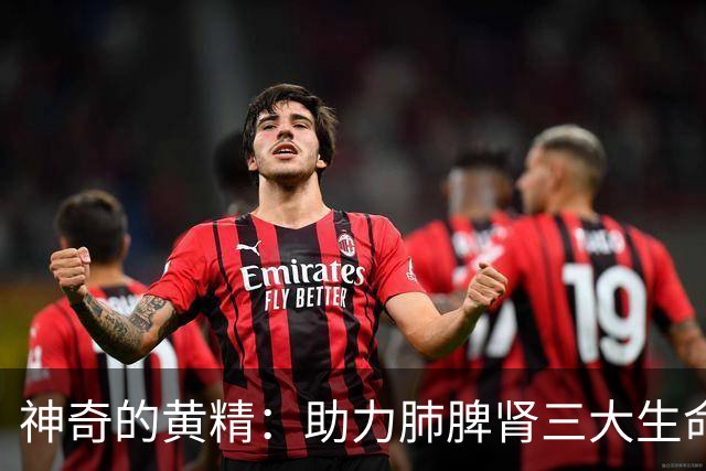 神奇的黄精：助力肺脾肾三大生命源泉