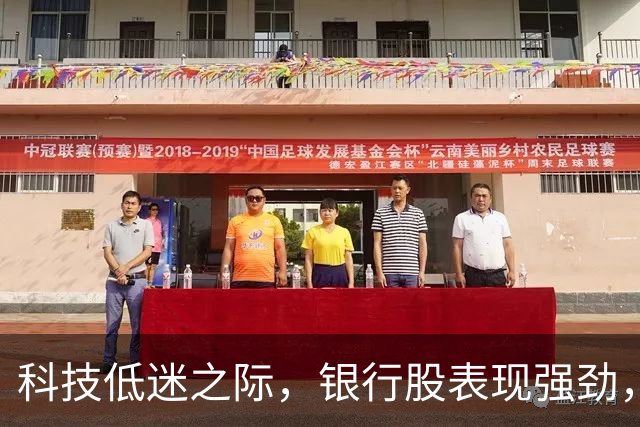 科技低迷之际，银行股表现强劲，未来走势如何？