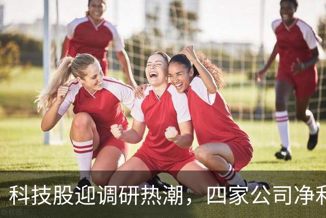科技股迎调研热潮，四家公司净利润大增