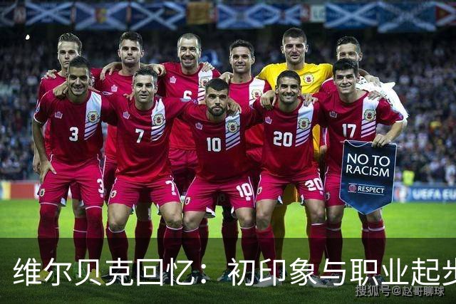 维尔贝克回忆：初印象与职业起步