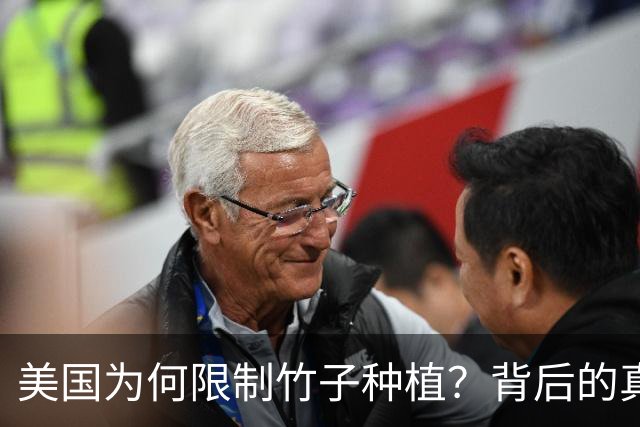 美国为何限制竹子种植？背后的真相令人深思