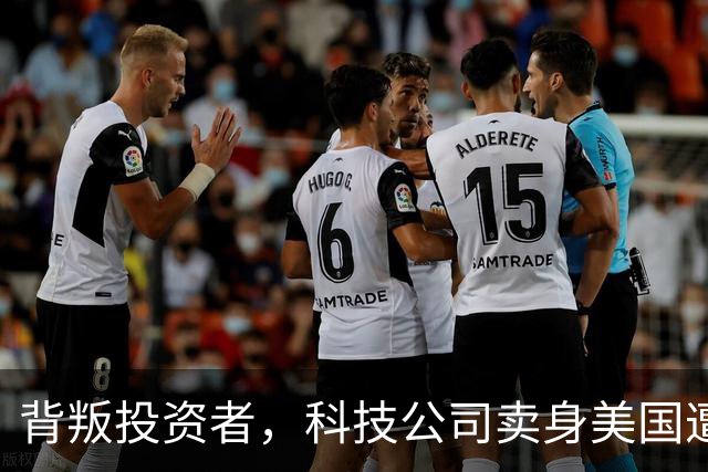 背叛投资者，科技公司卖身美国遭制裁