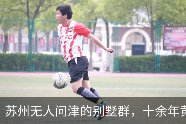 苏州无人问津的别墅群，十余年黄草遍布！