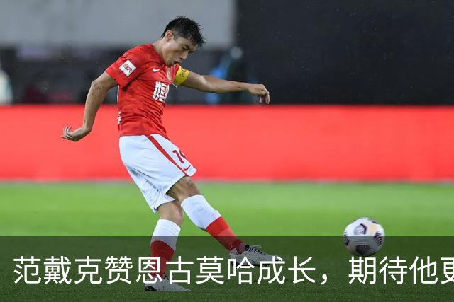 范戴克赞恩古莫哈成长，期待他更大突破